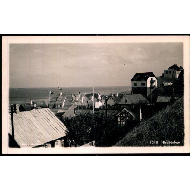 Tisvildeleje - Fotokort  Stationskiosken 1248 - Ubrugt