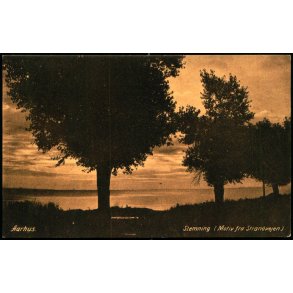 Aarhus - Stemning (Motiv fra Strandvejen) - J.J.N. 1291 - Brugt