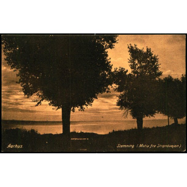 Aarhus - Stemning (Motiv fra Strandvejen) - J.J.N. 1291 - Brugt