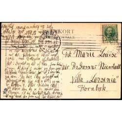 Parti ved Hotel Fiskebk - Peter Alstrup 7092 - Brugt