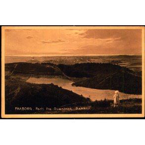 Faaborg - Parti fra Svanninge Bakker  - C.C.U. Johnsens Bogh. 26525 - Ubrugt