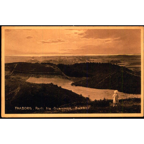 Faaborg - Parti fra Svanninge Bakker  - C.C.U. Johnsens Bogh. 26525 - Ubrugt