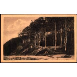 Nyborg - Parti fra Teglv�rksskoven  - Stender 28561 - Ubrugt