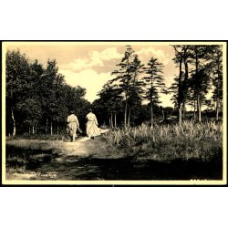 Plantagen - Liseleje - Frits Hansen 86237