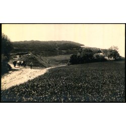 Nedgangen til Hulvejen - Fotokort Edv. Monsrud u/n - Ubrugt