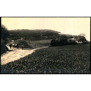 Nedgangen til Hulvejen - Fotokort Edv. Monsrud u/n - Ubrugt