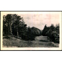 Tisvilde Hegn - Fr�bakken - Fotokort Merkur Foto u/n - Brugt