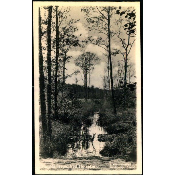 Tisvilde Hegn - Ved Horsek�r - Stationskiosken u/n - Ubrugt