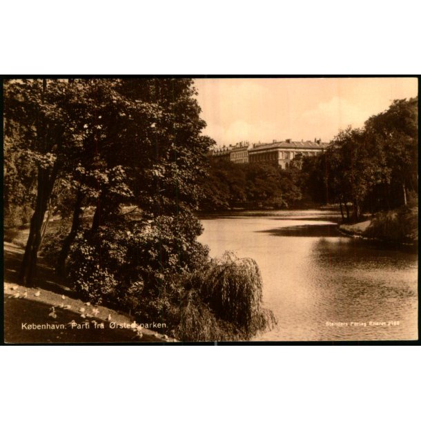Kbenhavn - Parti fra rstedsparken - Stender 2188 - Ubrugt