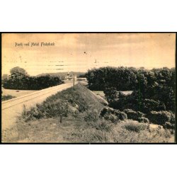 Parti ved Hotel Fiskebk - Peter Alstrup 7092 - Brugt