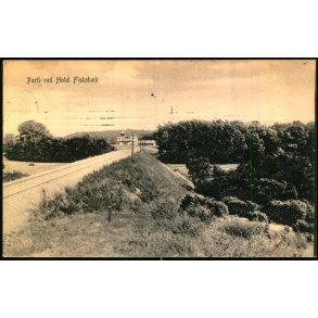 Parti ved Hotel Fiskebk - Peter Alstrup 7092 - Brugt