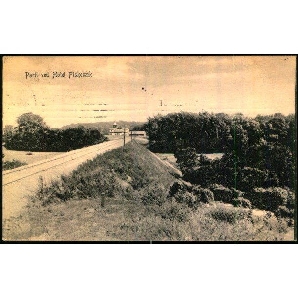 Parti ved Hotel Fiskebk - Peter Alstrup 7092 - Brugt