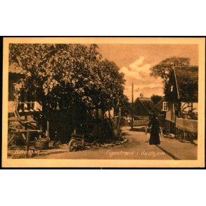 Bornholm - Figentret i Gudhjem - Colbergs Bogh. Eneret - Ubrugt