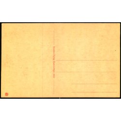 Nyborg - Parti fra Teglv�rksskoven  - Stender 28561 - Ubrugt