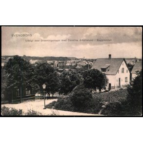 Svendborg - Udsigt over Dronningemaen med Caroline Amalielund i Baggrunden - C. St. 3898 - Ubrugt