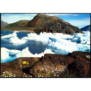 Ikerasak - Grnland - Rolf Mller u/n - Brugt