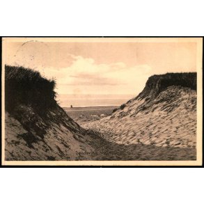 S�ndervig - Klitparti - Stender 16013 - Brugt