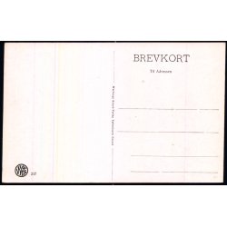 Silkeborg - Ny Hatten�s - W.K.F. 217 - Ubrugt