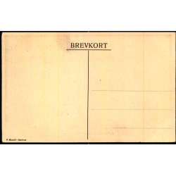 Buldrebjerg blandt Kosakker - Sommer Revyen Vennelyst 1917 - P. Busch u/n - Ubrugt