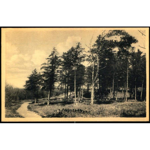 Liseleje - Plantagen - u/n