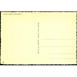 Aarhus - Agnete og Havmanden - Stender 40 719/92 - Ubrugt