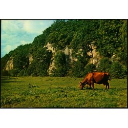 Bornholm - Ekkodalen i Almindingen - Colbergs Bogh. A/S  8960 - Ubrugt