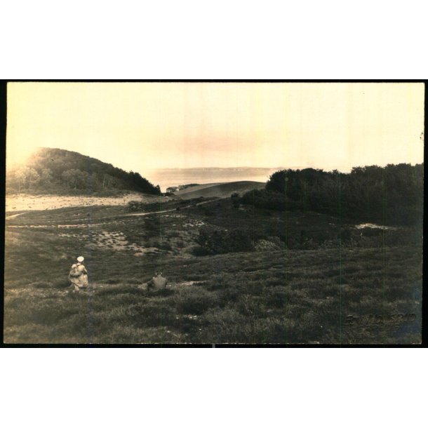 Femm�ller - Fotokort Edv. Monsrud u/n - Ubrugt