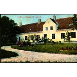 Hanbjerg Hovgaard (Jylland) - C. Eneret 8 - Ubrugt