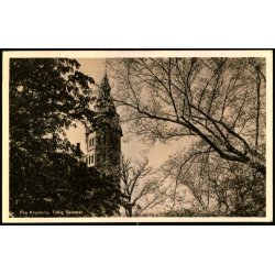 Fra Kronborg - Tidlig Sommer - Kai Brammers Bogh. u/n - Ubrugt