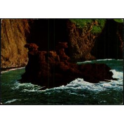 Bornholm - Lvehovederne ved Hammershus Ruiner - Colbergs Bogh. 8214 - Brugt