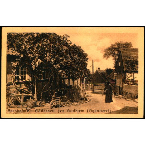 Bornholm - Gadeparti fra Gudhjem - (Figentret) - Fritz Srensens Bogh. 2011 - Ubrugt