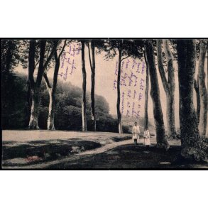 Nyborg - Parti fra Teglv�rksskoven - W.K.F. 3747 - Brugt