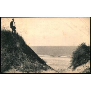 S�ndervig - Klitparti - Stender 16014 - Brugt