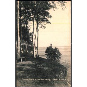 Fruens B�nk i Marselisborg Skov - Aarhus - H.A.E. 367 - Brugt