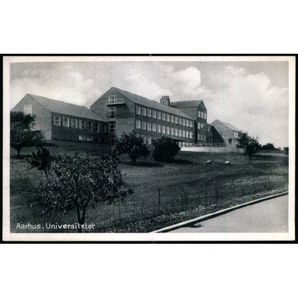 Aarhus Universitet - Stender � 403 - Ubrugt