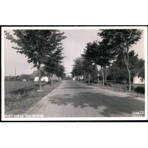 Parti fra Bovrup - Stjerne Foto 8185 - Ubrugt