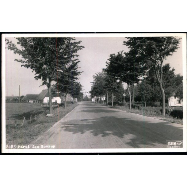 Parti fra Bovrup - Stjerne Foto 8185 - Ubrugt