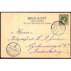 Hilsen fra Helsingr - Banegaarden - J.C. Borregaard 215 - Brugt