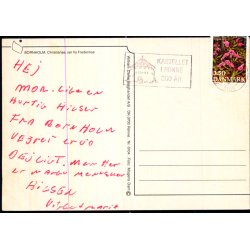 Bornholm - Christians set fra Frederiks - W. Dams Bogh. 6104 - Brugt