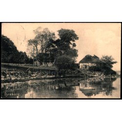 Dyreborg - Varehus A. Halds Forlag u/n - Brugt