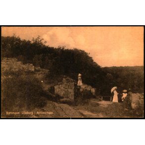 Bornholm - Lilleborg i Almindingen - F. Srensens Bogh. 2250 - Ubrugt