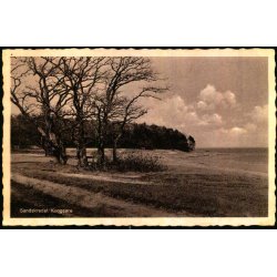 Sandskredet - Kongs�re - S. Bay 80 - Brugt