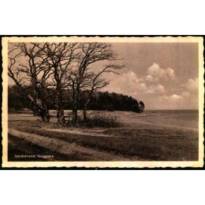 Sandskredet - Kongs�re - S. Bay 80 - Brugt