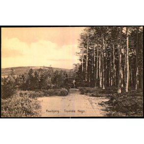 Raabjerg -  Tisvilde Hegn - K. Poulsens Bogh. 30 - Ubrugt