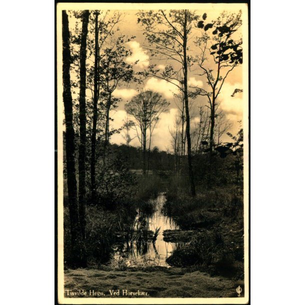 Tisvilde Hegn - Ved Horsek�r - Stationskiosken 107 - Brugt