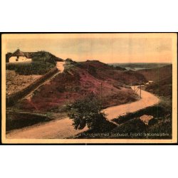 Hulvejen med Tophuset - Rebild Nationalpark - Sk�rping Bogh. 61463 - Ubrugt