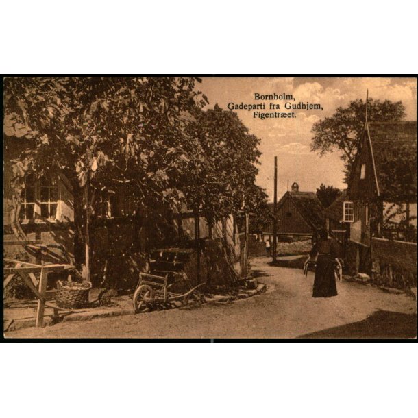 Bornholm - Gadeparti fra Gudhjem - Figentret - Fritz Srensens Bogh. 686 - Ubrugt