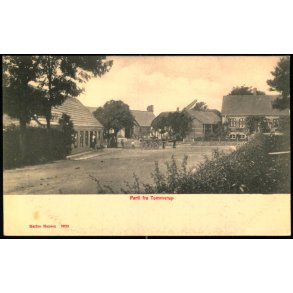 Parti fra Tommerup - Marius Hansen 3920 - Ubrugt