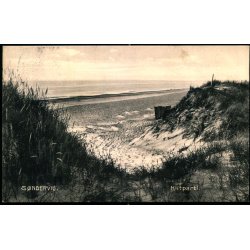 S�ndervig - Klitparti - Stender 16019 - Brugt