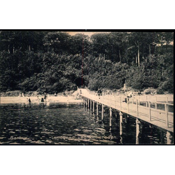 Aarhus - Landgang ved �rnereden  - Stender 2080 - Brugt